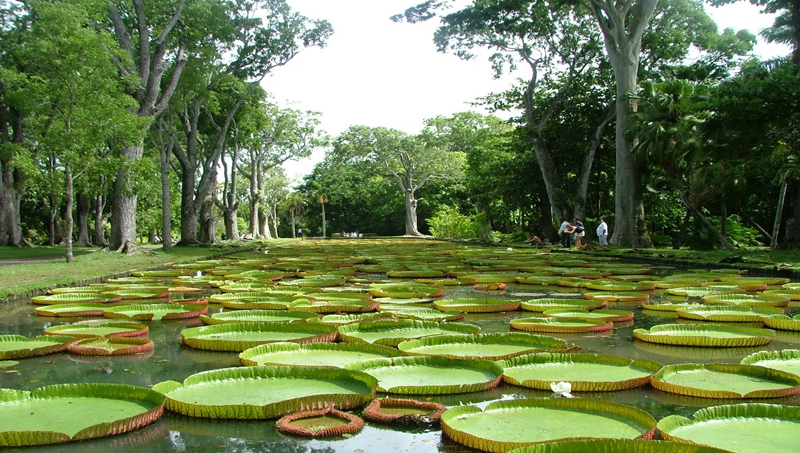 Botanical Gardens Dar es Salaam