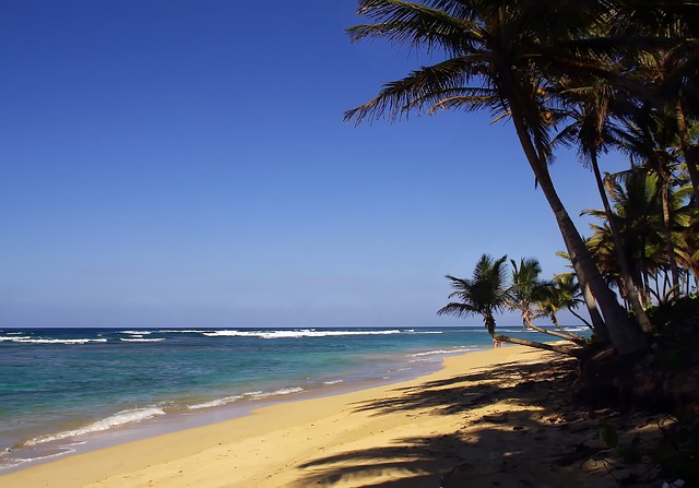 punta cana 1808451 640